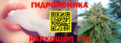 мяу мяу мука Кингисепп