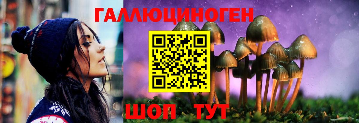 Тула  Галлюциногенные грибы мицелий  наркотики  Галлюциногенные грибы мицелий  Вход с VPN 